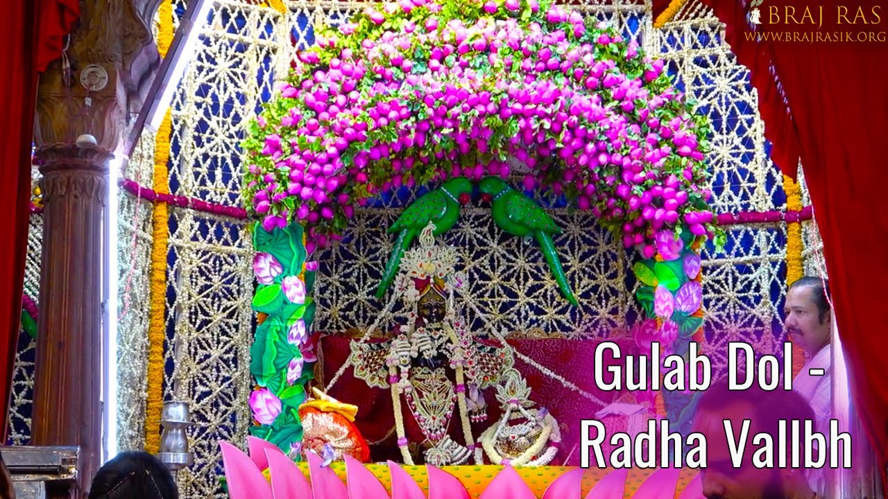Sri Radha Vallabh Lal | Gulab Dol Darshan (Rose Swing) | श्री राधा वल्लभ गुलाब डोल