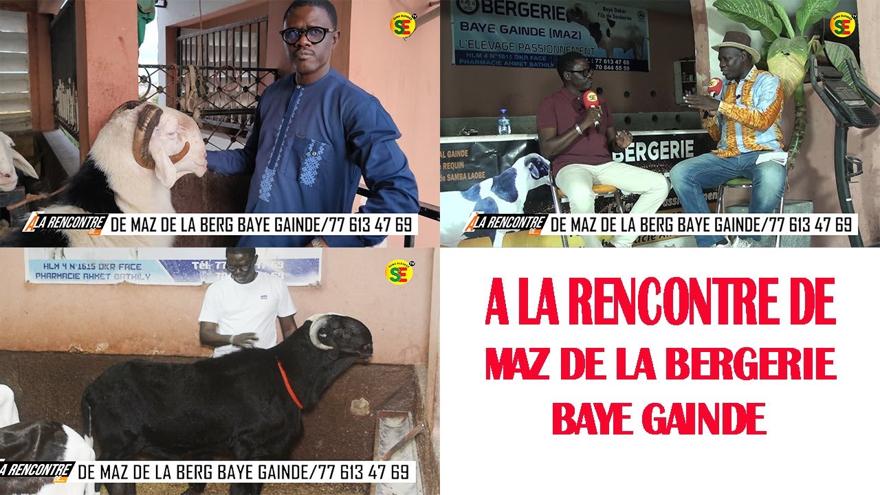 A LA RENCONTRE DE MAZ ELEVEUR  LADOUM /  BERGERIE BAYE GAINDE