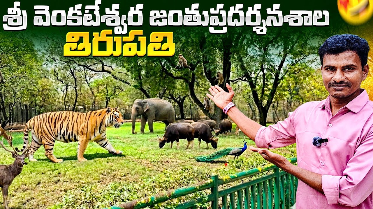 Tirupati Zoo Park 2026 | తిరుపతి జంతు ప్రదర్శనశాల | ఇది పురాణాల park |