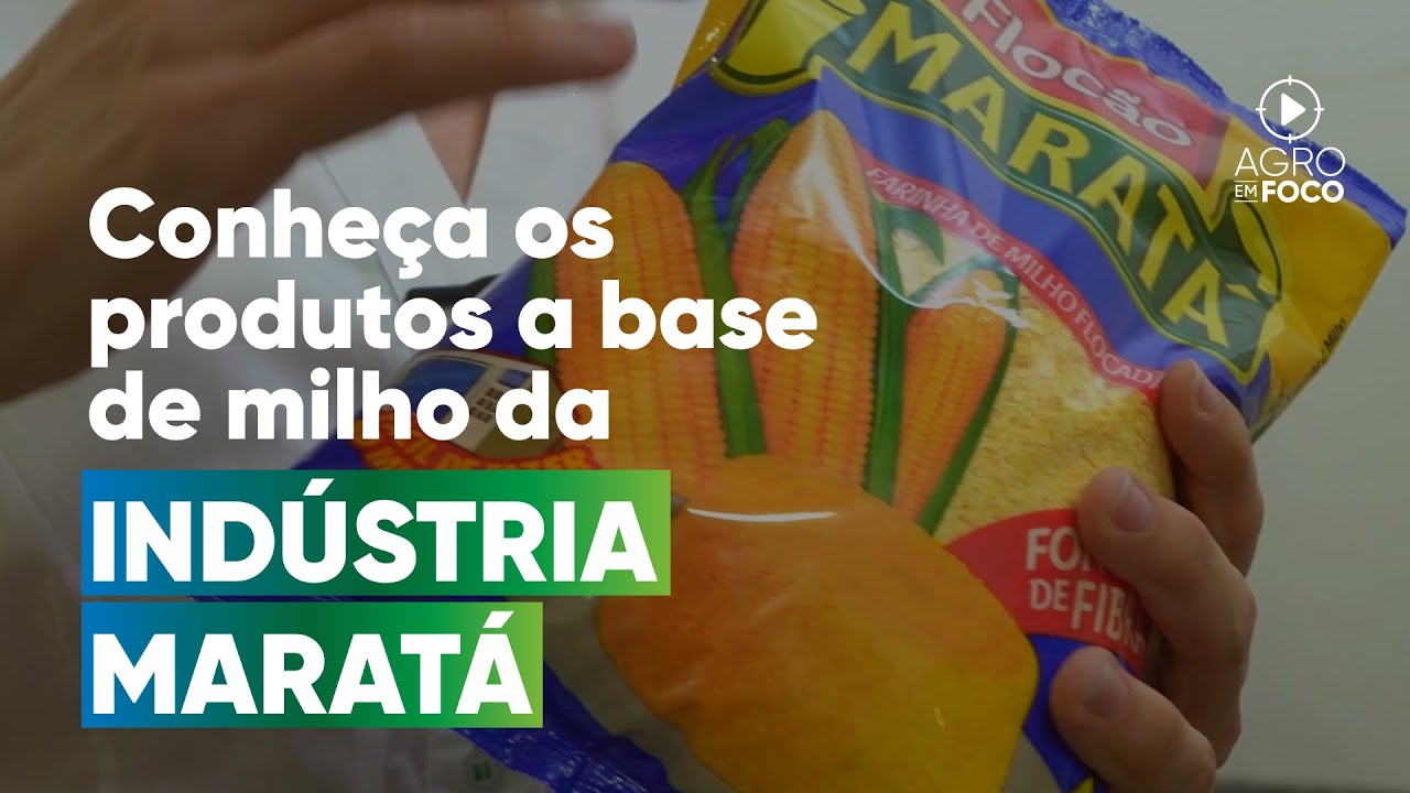 Milho: o cereal carro-chefe da produção da indústria Maratá - Programa #71 - Agro Em Foco