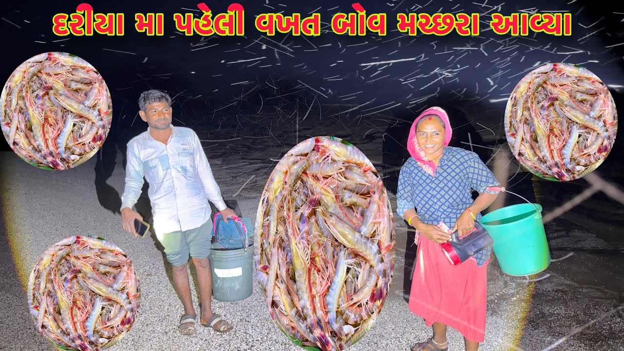 મચ્છર ના કારણે દરીયા મા મચ્છી પકડવા મા મુશ્કેલી 🦟🦐 night jinga fishing 🎣 dariyai khedut