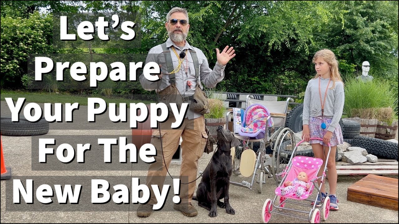 How to Prepare A Puppy For The Arrival Of Your New Baby