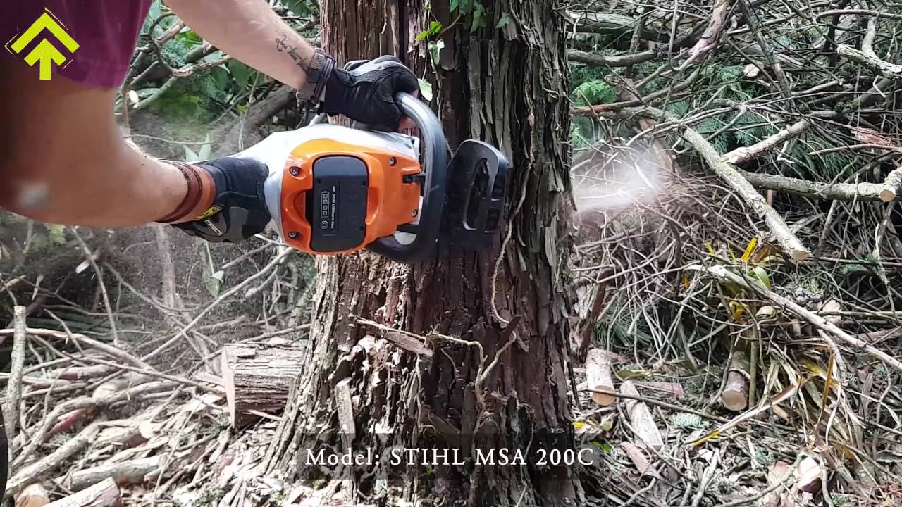 How to cut down a tree by using a battery chainsaw  | SuPerAlberi