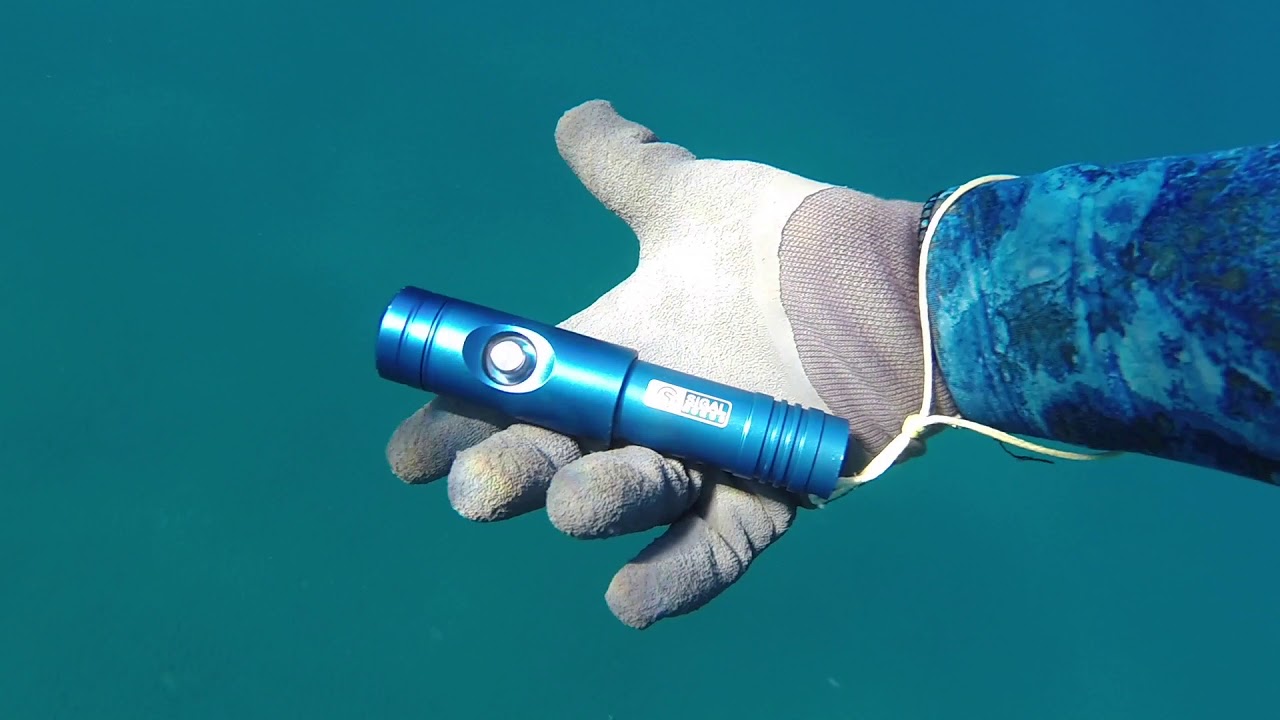 Torce Horus Sigalsub