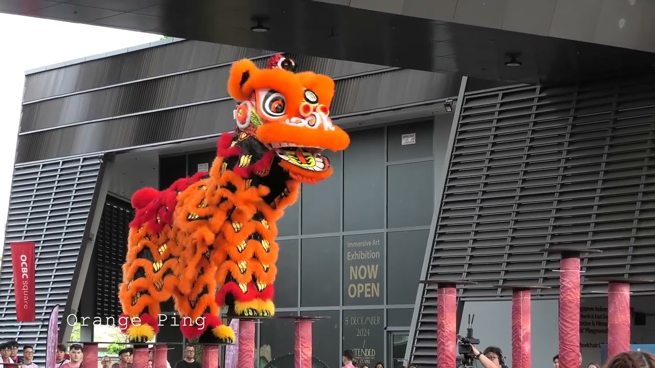 南仙龍獅體育会