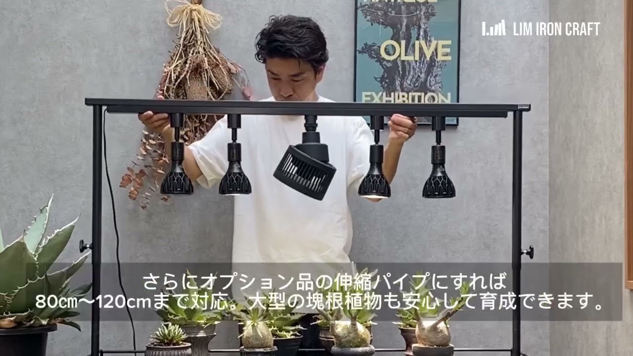 大人気ライトレールスタンドをご紹介