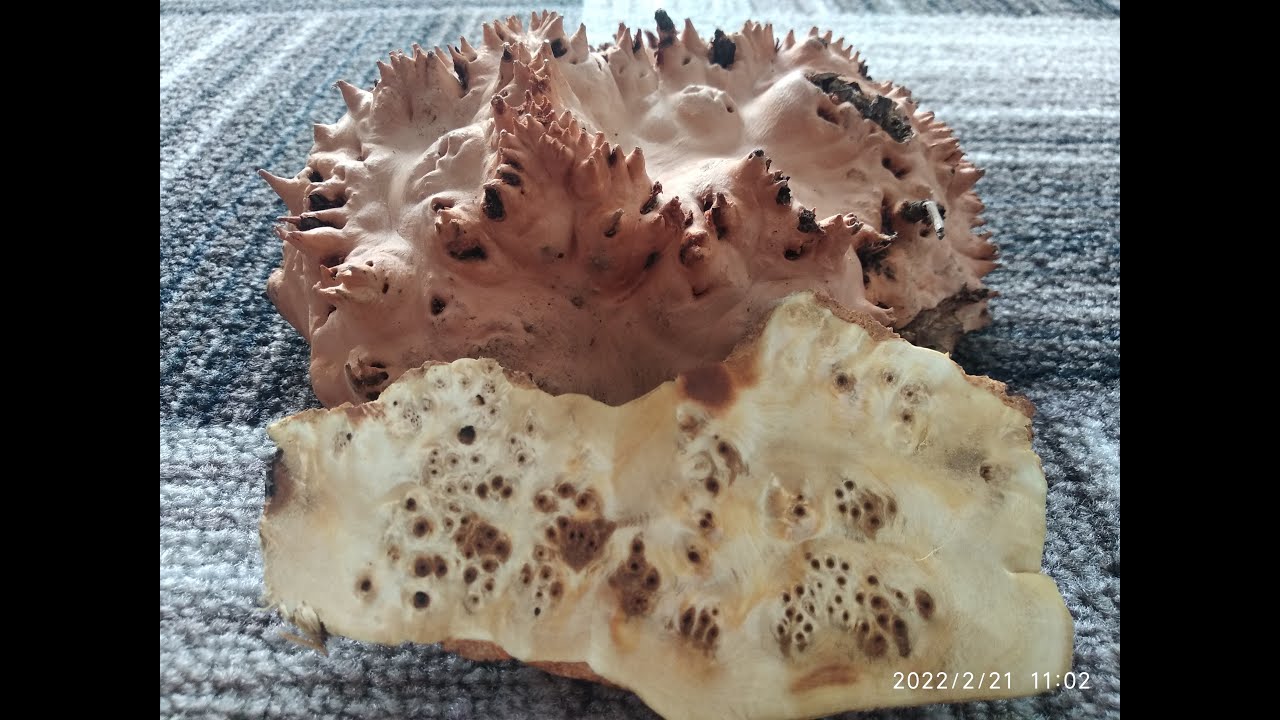 варка и сушка капа и сувеля