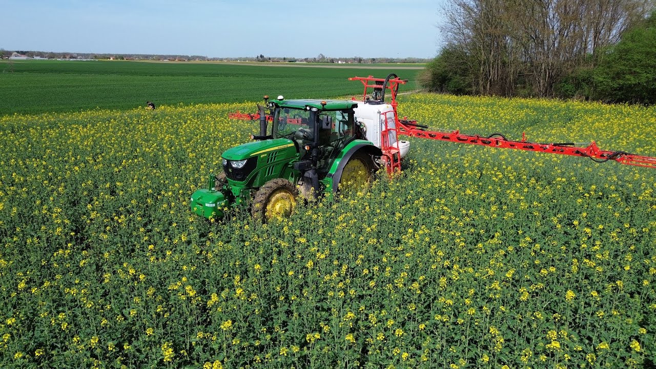 John Deere 6115 R/Gaspardo Tempo 1200 - Uljana repica 2024 AGRO KLAS