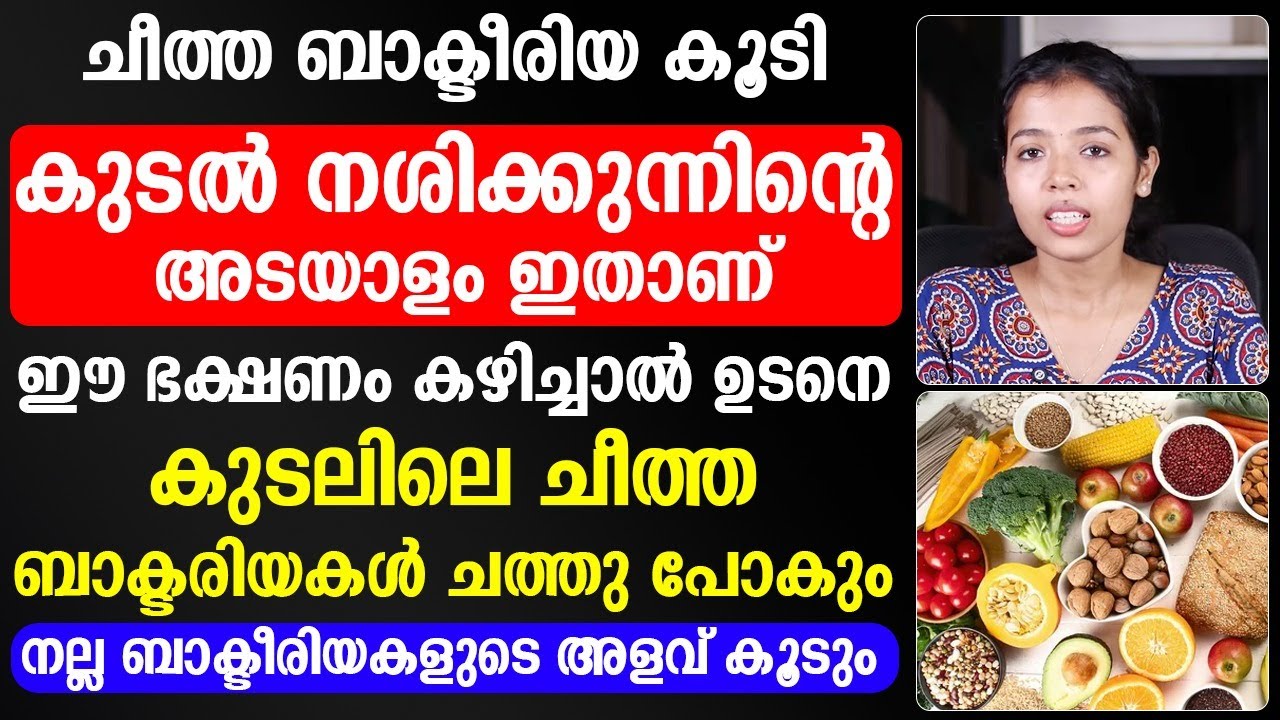 കുടലിലെ ബാക്ടീരിയകളെ കൊല്ലാൻ ഒരു അടിപൊളി ഭക്ഷണം