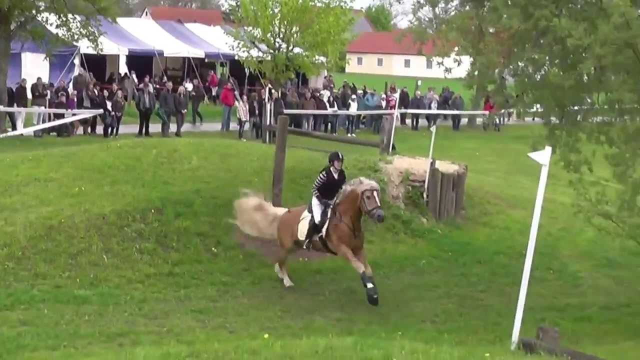Haflinger PrH Sommernacht, Landeshaflingerturnier Gunzenhausen