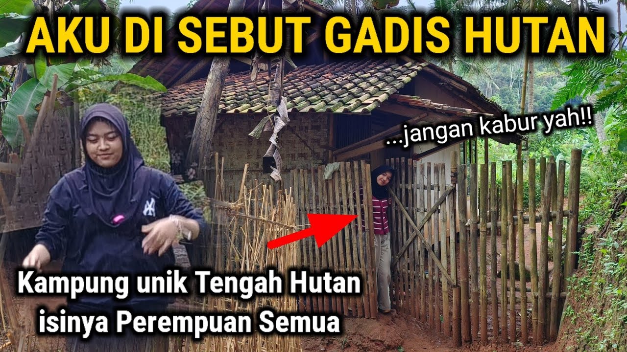 AKU DI SEBUT GADIS HUTAN!! MEMILIH HIDUP DI RUMAH UNIK PINGGIR HUTAN DAN ISINYA WANITA SEMUA