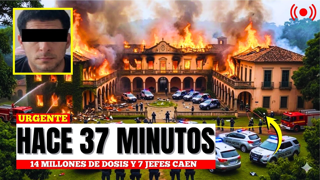 ¡MASACRAN LABORATORIO EN COLIMA! GAFES ARRASAN CÉLULA DEL CJNG: 14 MILLONES DE DOSIS Y 7 JEFES CAEN