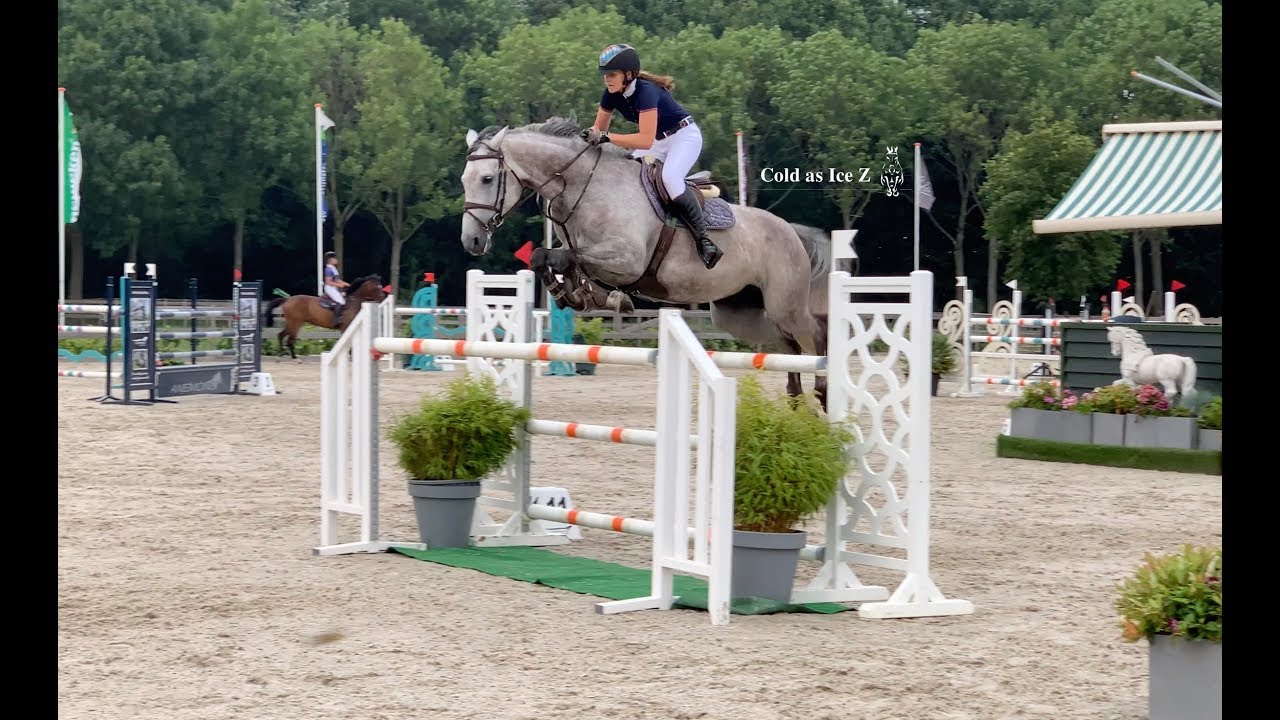 Cranberry Ice Z (7 y/o mare) 1.35 - 1.40m by Candillo Z x Carthago Z x Ramiro Z