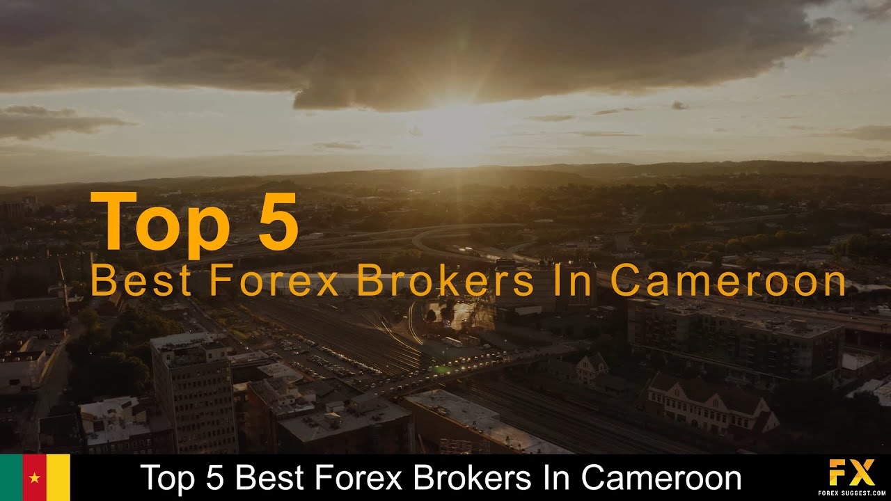 Best Forex brokers In Cameroon📈