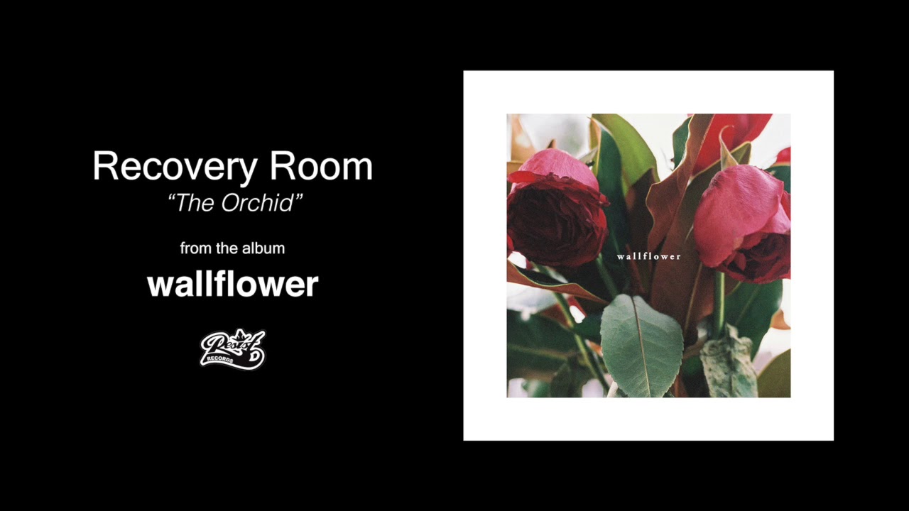 Recovery Room - The Orchid