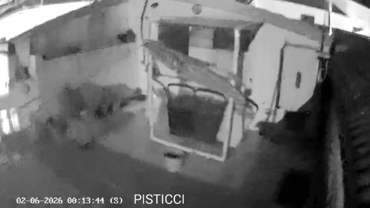 Terremoto in Calabria, telecamera di sorveglianza riprende la scossa a oltre 200 km dall'epicentro