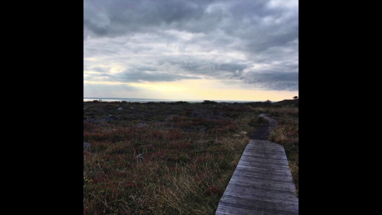 SUPER ALONE - A Simple Pleasure