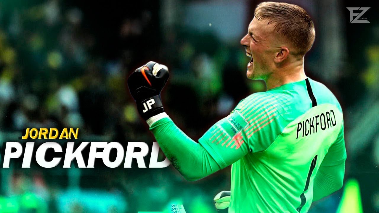 Jordan Pickford 2018 ▬ The Guardian • Amazing Best Saves || HD