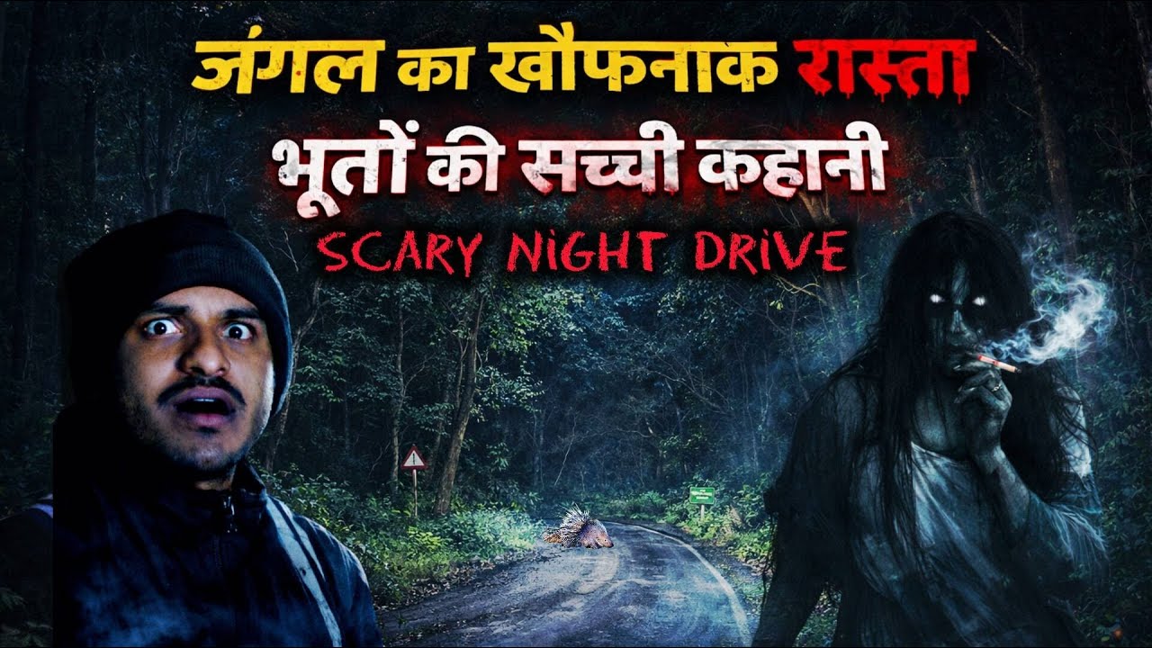 जंगल की खौफनाक रात | Scary Night Drive | Haunted Stories at Night | Night Drive jim Corbett