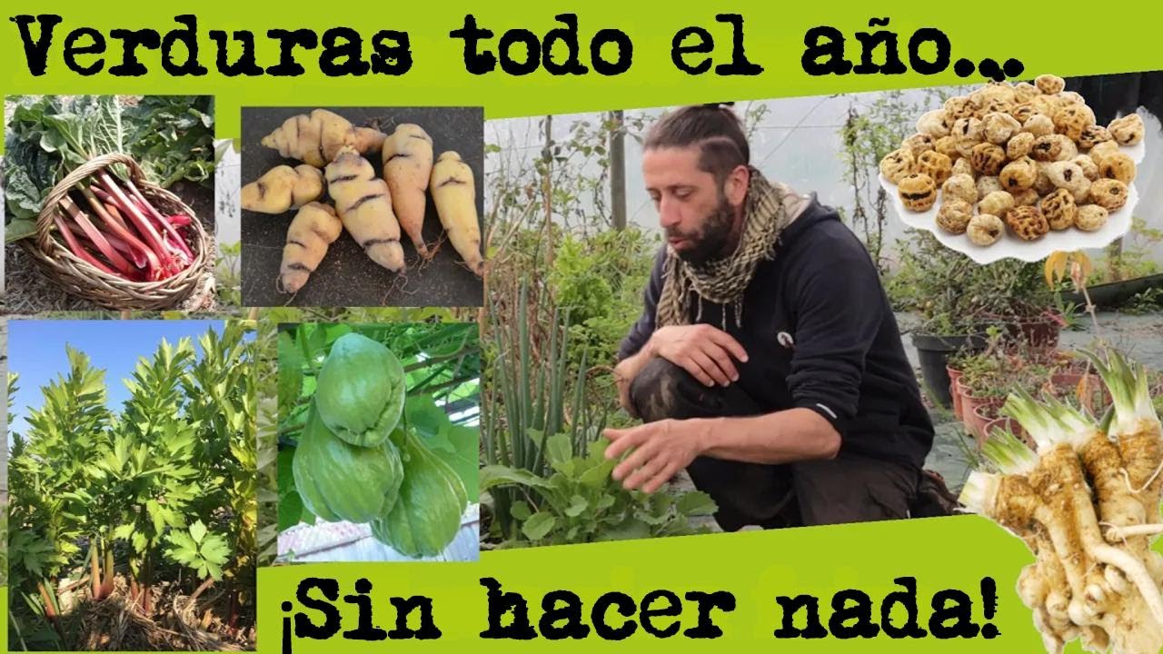 Verduras todo el año sin esfuerzo