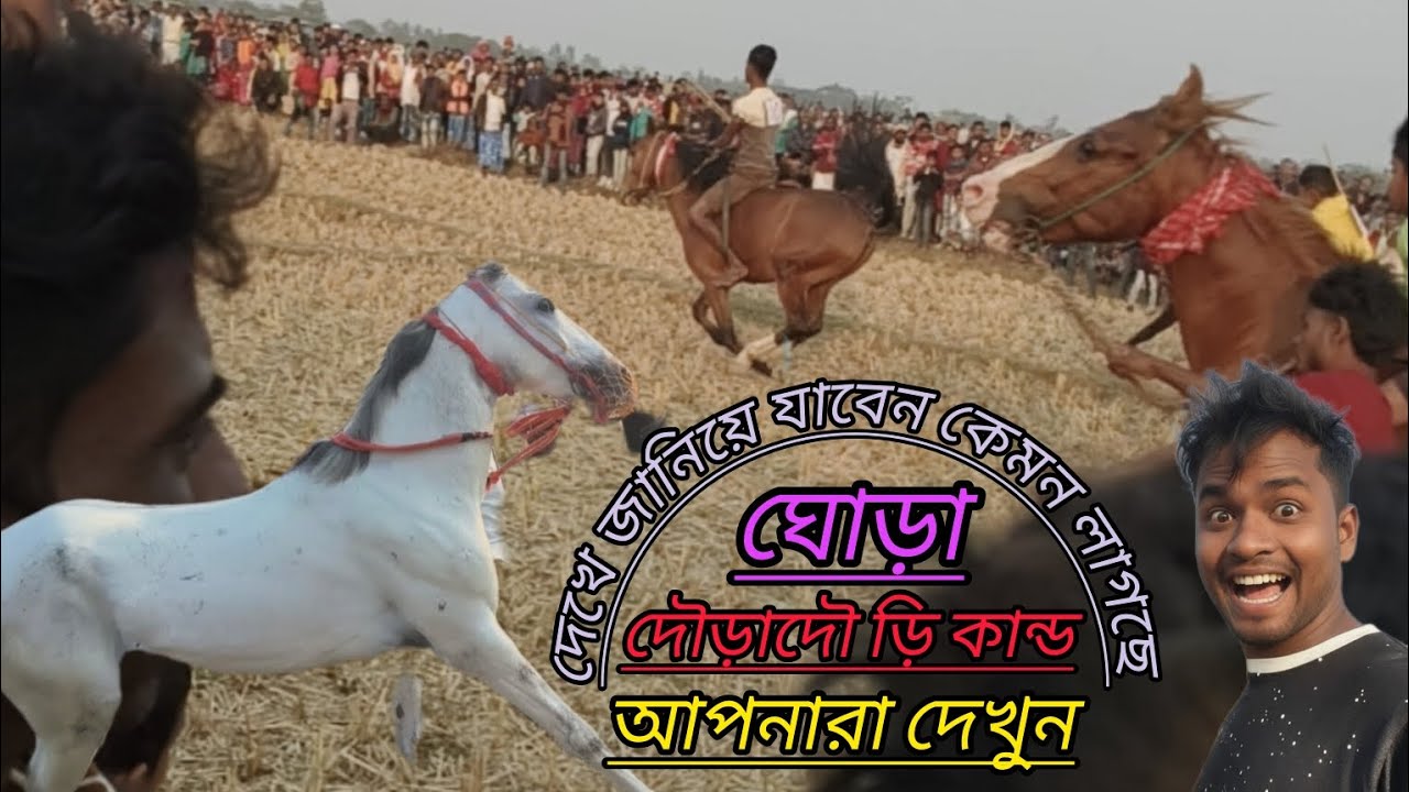 বিরাট বড় মাপের ঘোড়া দৌ #newmusic 