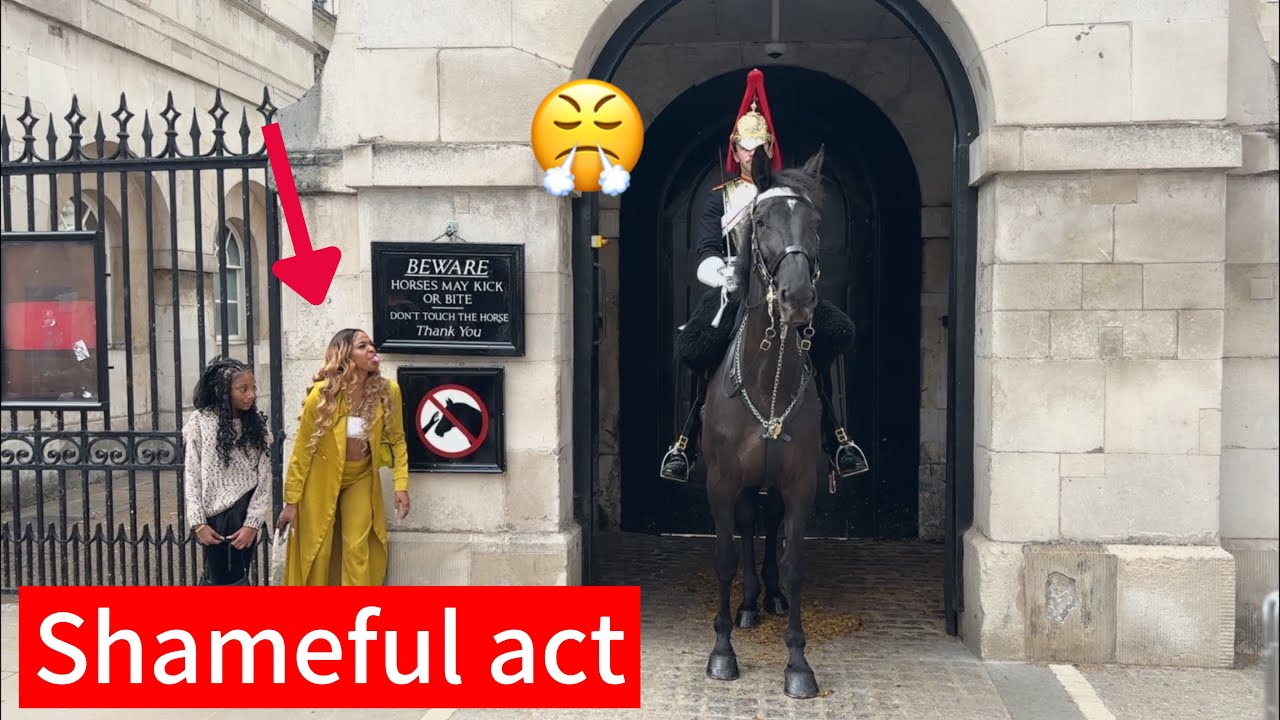 Mocking the King’s Guard Goes Too Far!