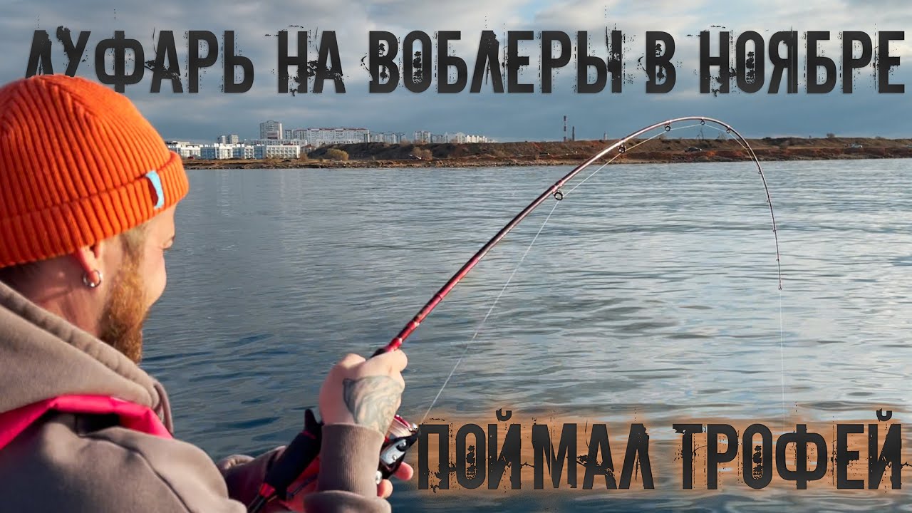 Луфарь в ноябре на воблеры. Поймал трофей.