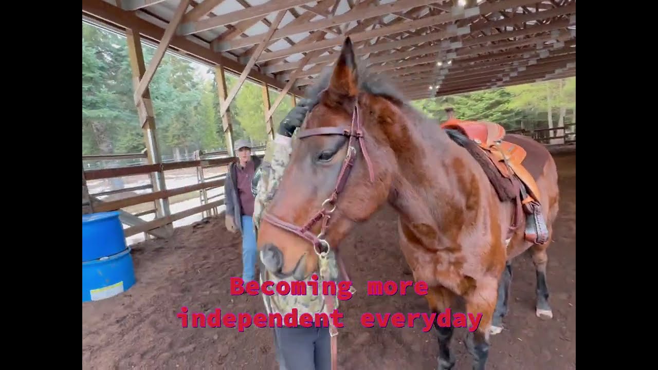 Come To My Riding Lesson With Me!! (Tacking Up + Patterns + Trail Ride!) #equestrianjourney #horses