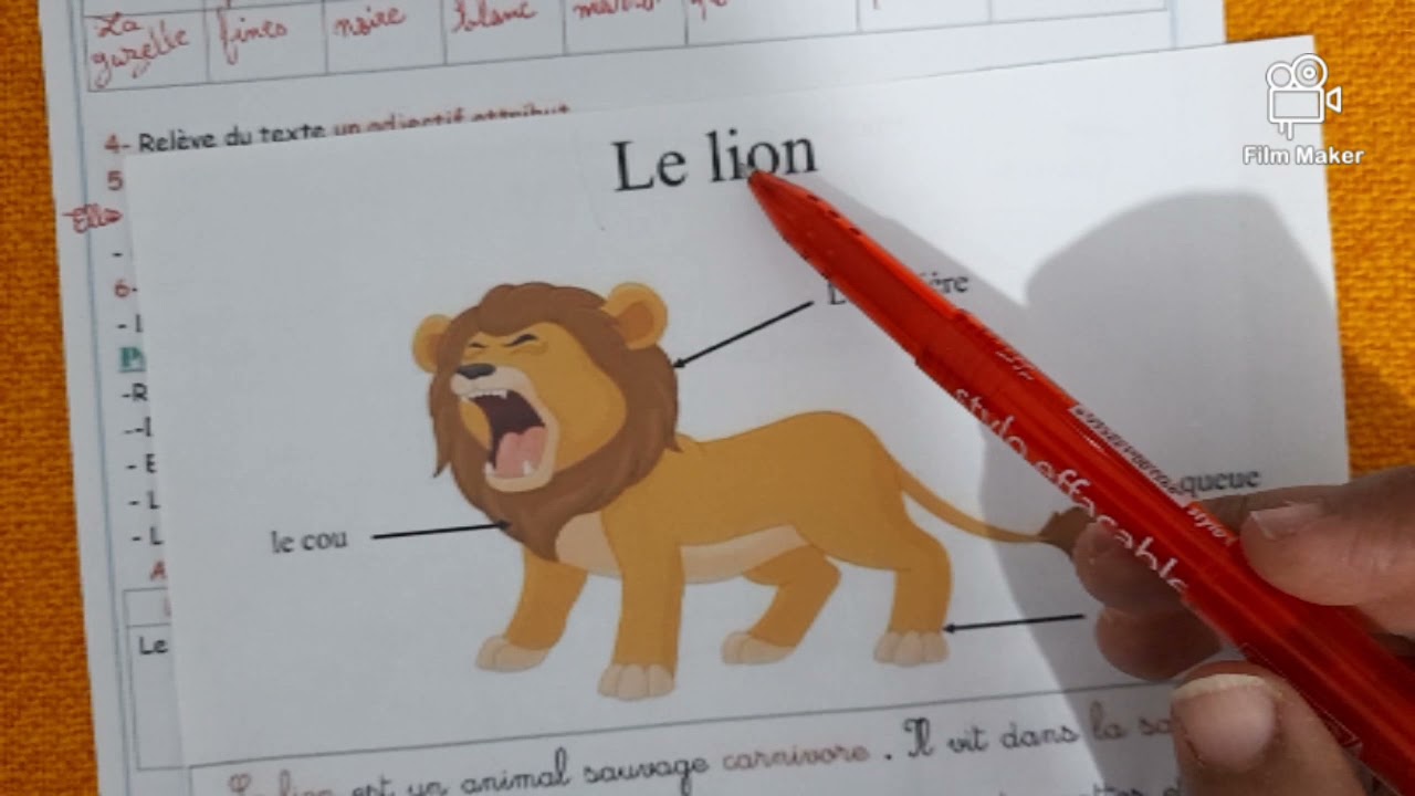 composition du premier trimestre 5AP c'est important ❤
