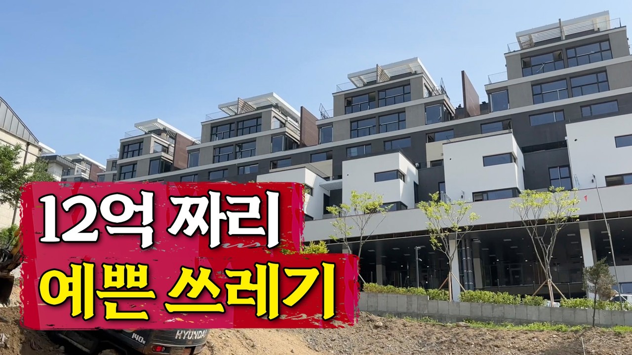 용인 최고 부촌 보정동 타운하우스 사건, 저는 이렇게 봅니다.