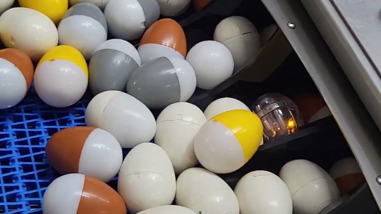 Bröring Electronic Egg - Slowmotion Durchlauf MOBA Mopack EP