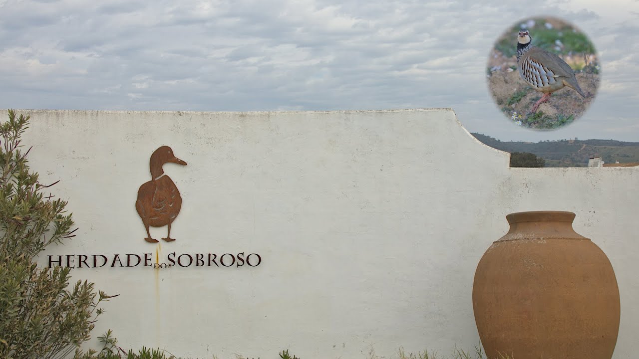 Herdade do Sobroso