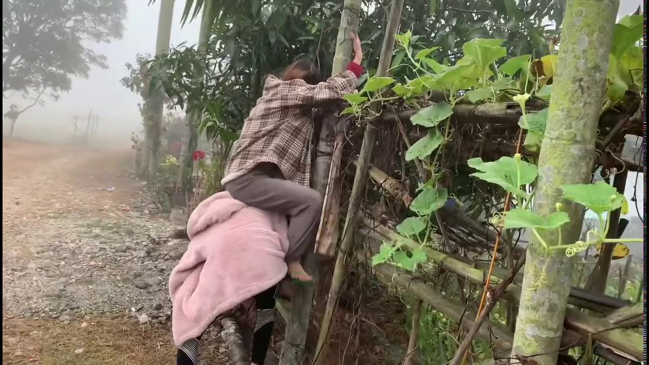 स्मारिका समारिका सुपारी चोरदै | Smarika Samarika Stealing Supari #Shorts
