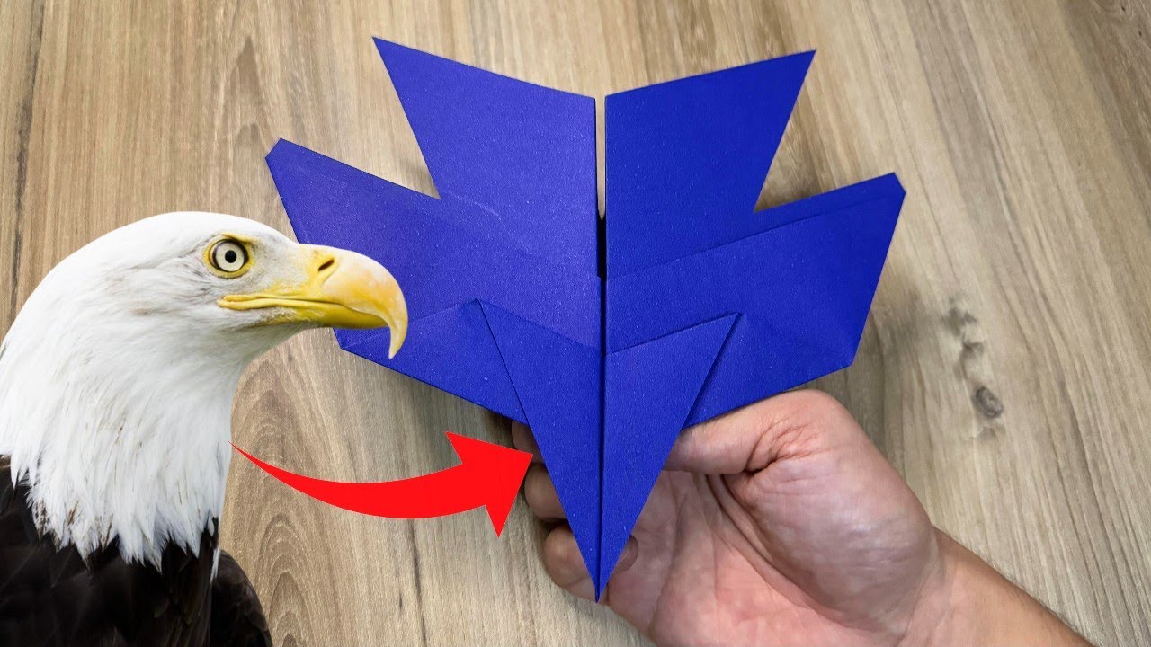 COMO FAZER UM AVIÃO DE PAPEL ÁGUIA TOP #origami #aviãodepapel #eagle
