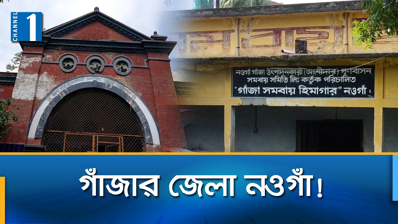 নওগাঁয় গাঁজা সমবায় সমিতির হাজার কোটি টাকার সম্পদ | Naogaon | Channel One News