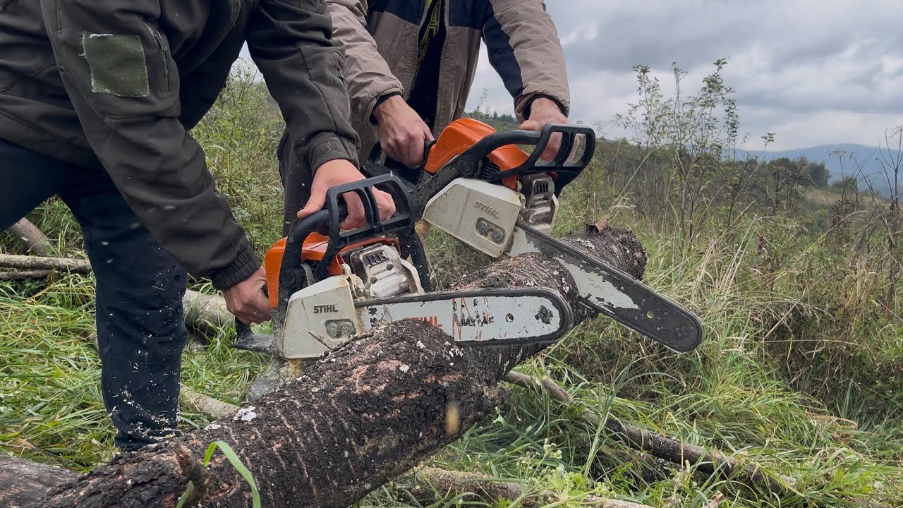 STIHL - MS 180 (2019) vs STIHL - MS 180 (2022)