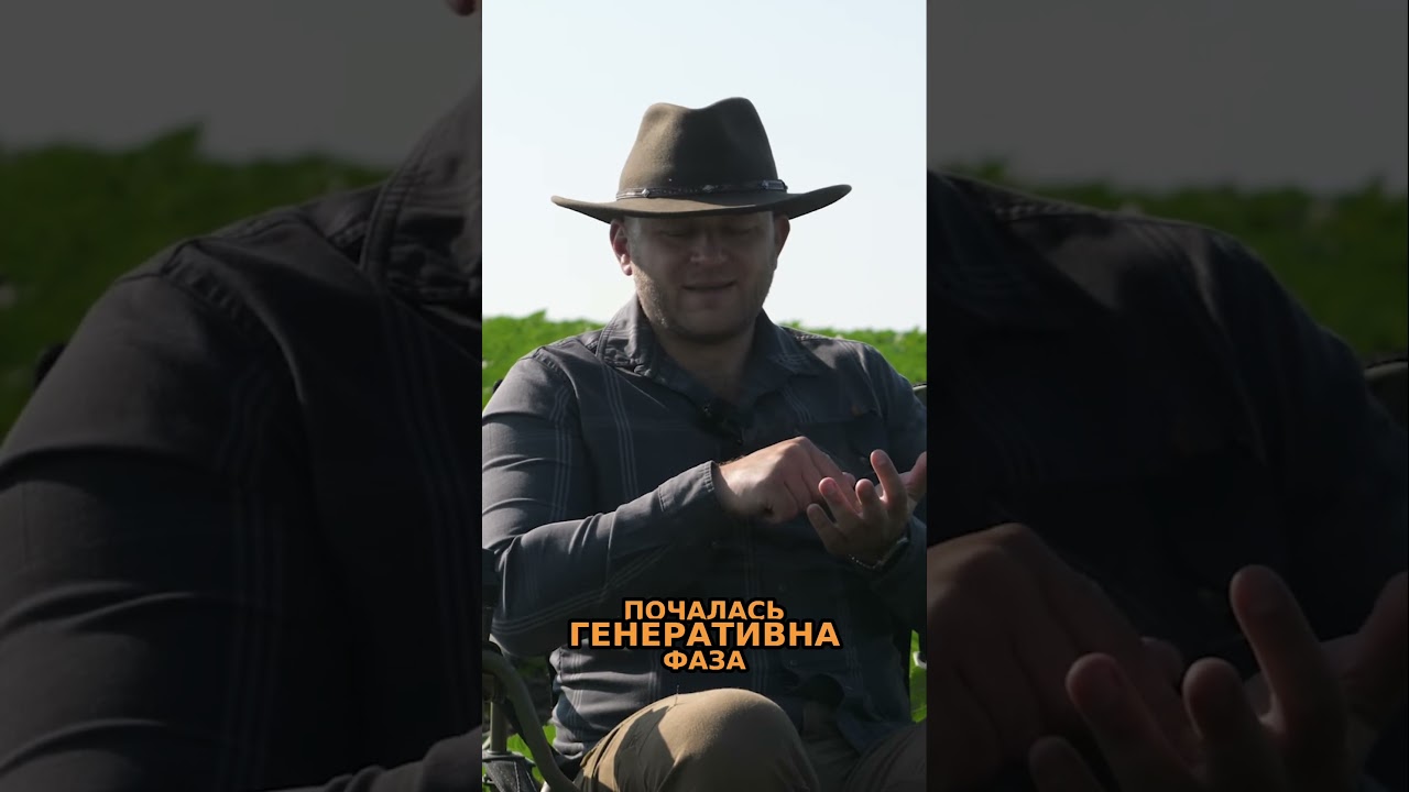 Коли вносити добрива на сою?