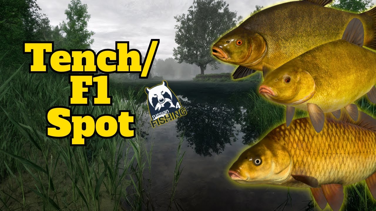 Russian Fishing 4: Copper Lake Hotspot! Tench, F1 & Kvolsdorfsky Tench