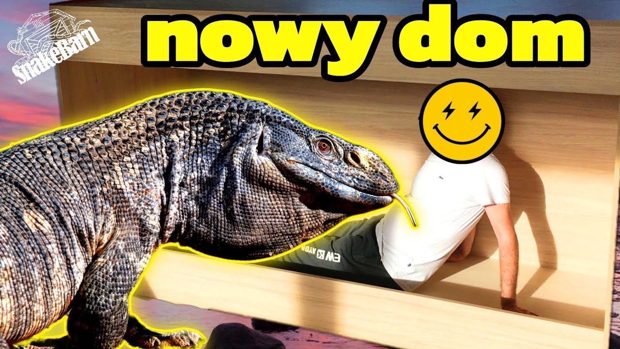 GIGANTYCZNA ZMIANA! Przenoszę mojego Warana!