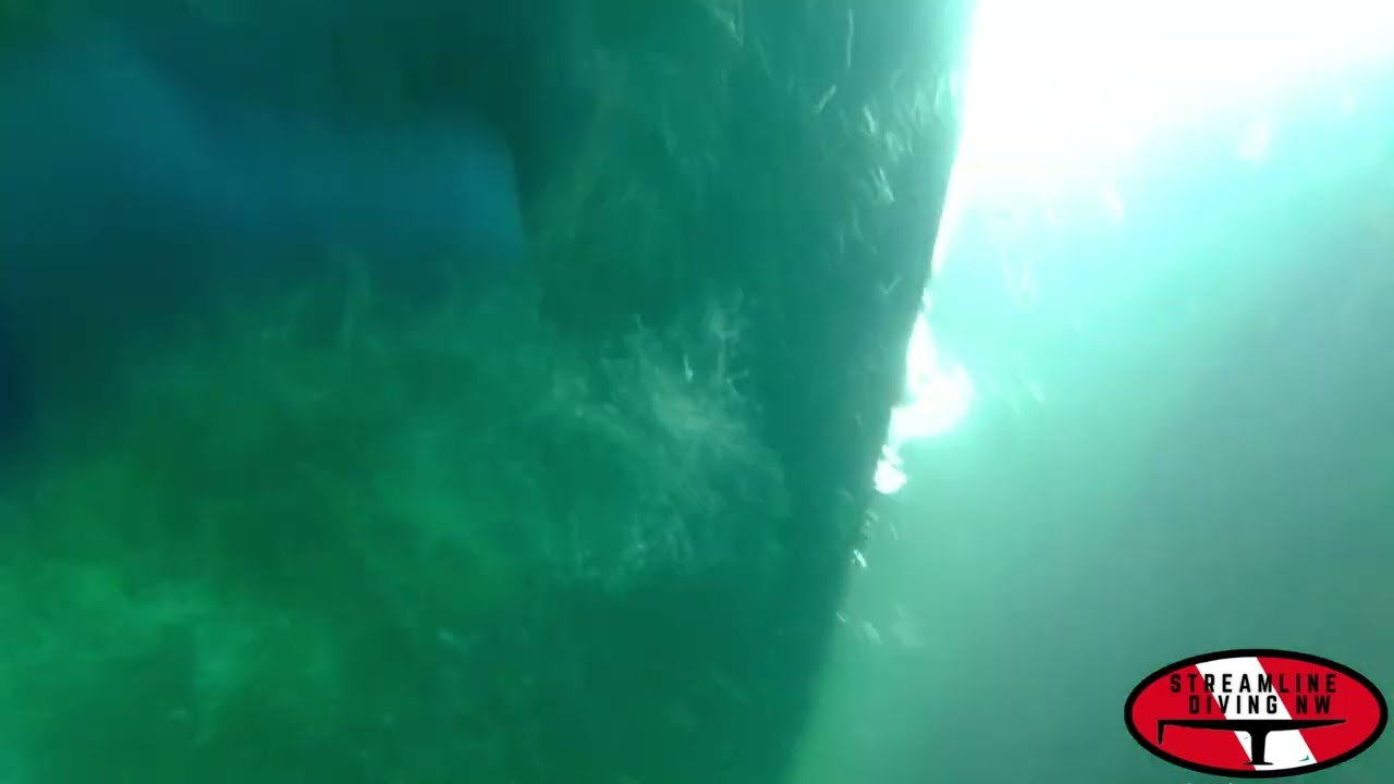 Suerte Clemett 2 3 26