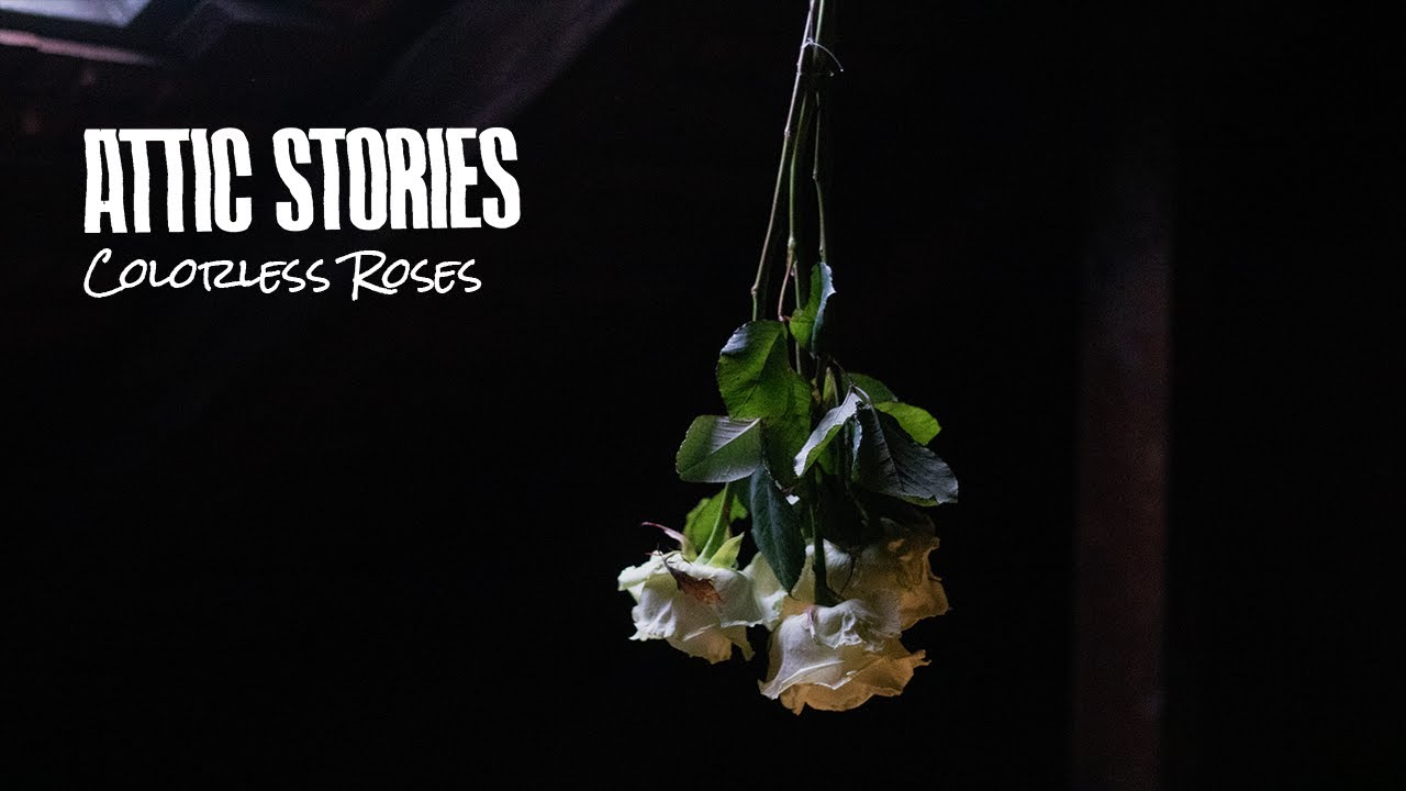 Attic Stories - Colorless Roses [Lyric Video]