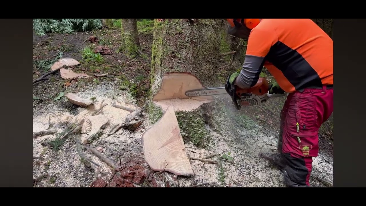 ‼️‼️‼️Stihl ms 462 c ‼️‼️‼️