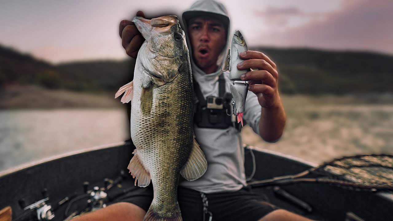 FISHING BIG SWIMBAITS AT LAKE PLEASANT!!