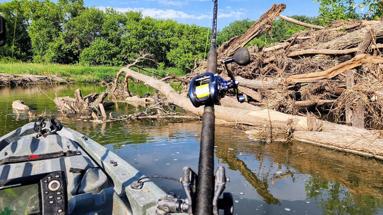 BIG FISH Live In HUGE BRUSHPILES!! (& Kayak Walkthrough)