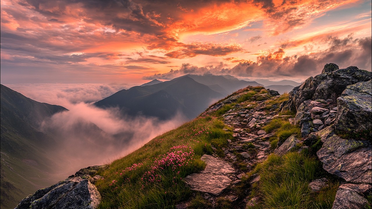 Misty Mountain Sunrise 🌄 Gentle Wind & Birds | 3 Hours of Peaceful Nature Ambience