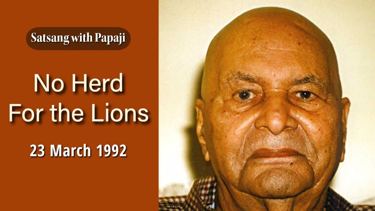 PAPAJI - No Herd for the Lions - 23 March 1992
