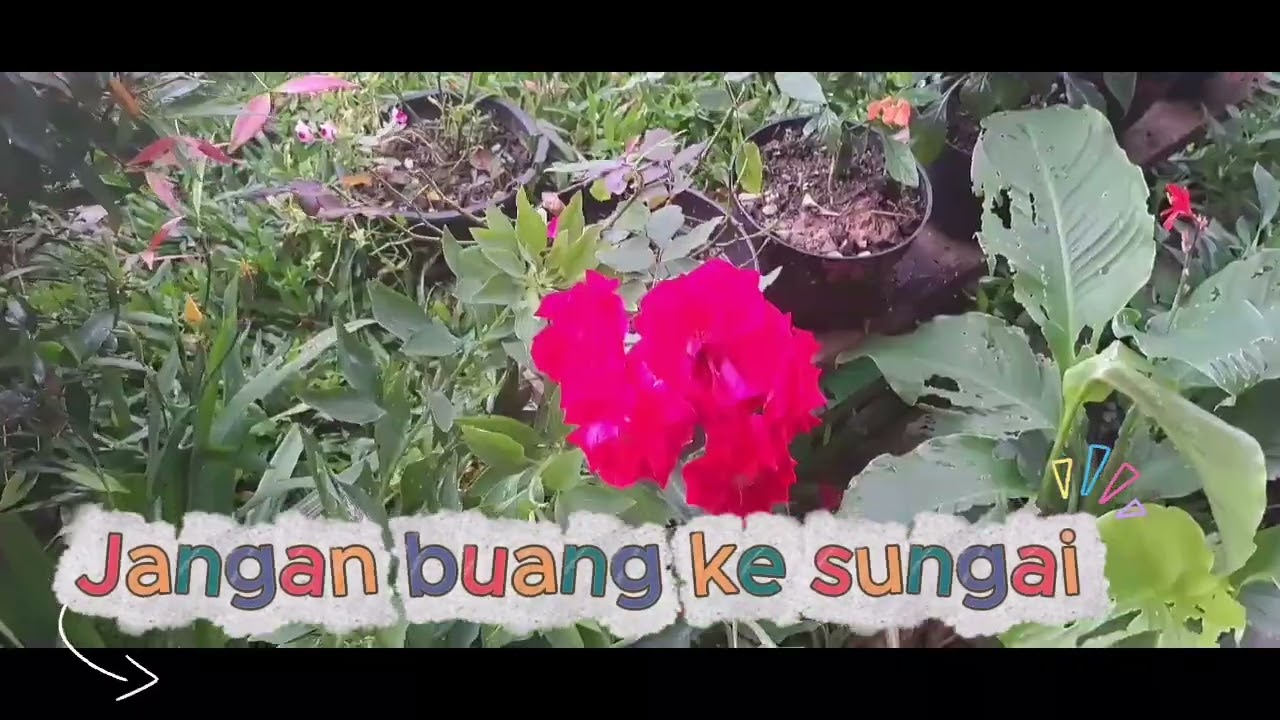 BUMI RUMAH KITA