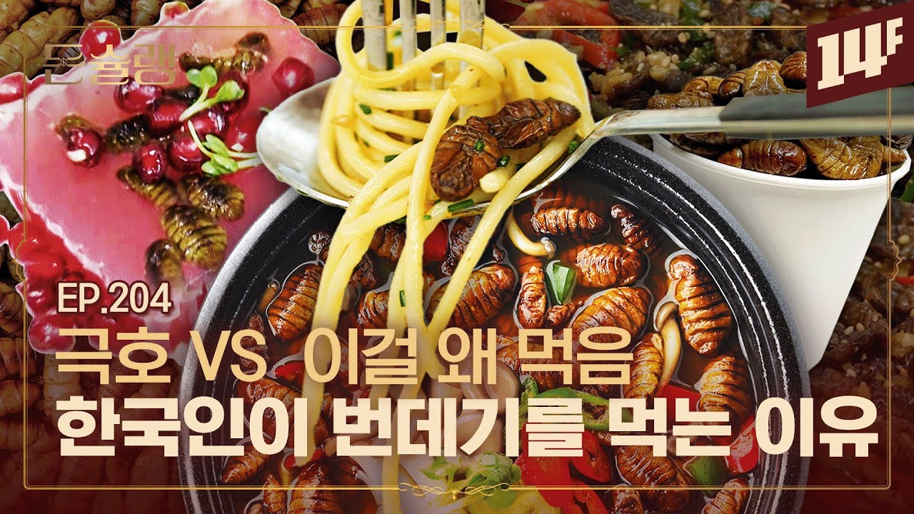[EN] 매년 3천 톤을 수입한다고..? 다시 주목 받는 번데기🥄ㅣ돈슐랭 / 14F