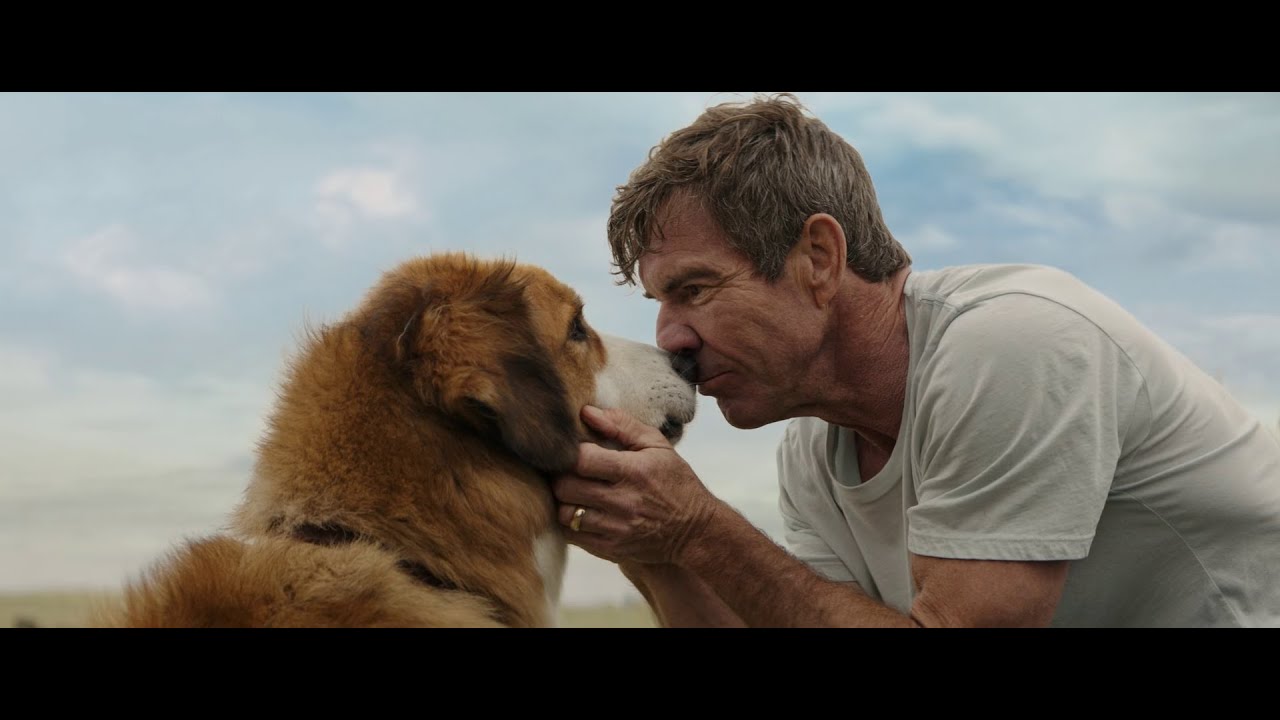 It’s just a part of your life, but you are its whole life.#movie #film