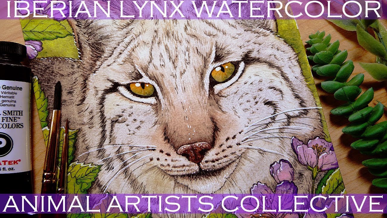 Iberian Lynx Watercolor Painting Animal Artists Collective Big Cat Speedpaint WWF Conservation Chat